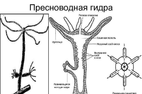 Не работает ссылка блэкспрут